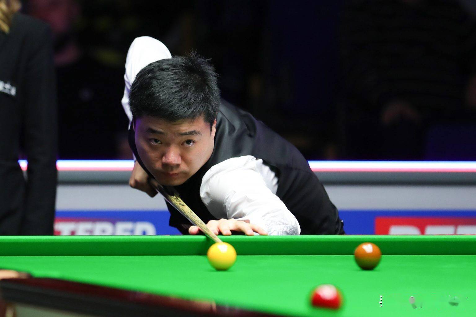 献精神的行 献精神的行