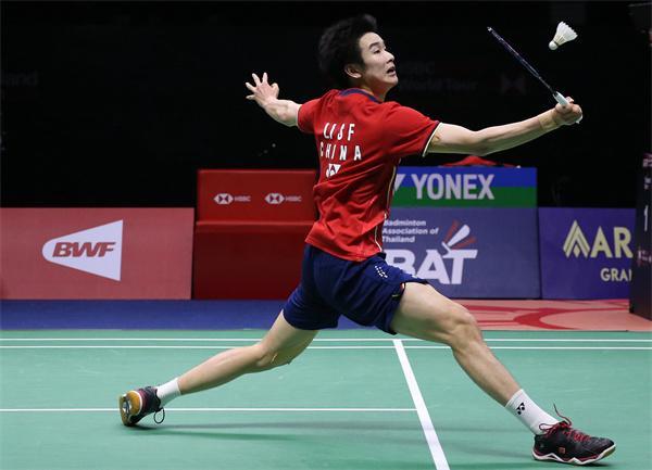 多家知名体 多家知名体