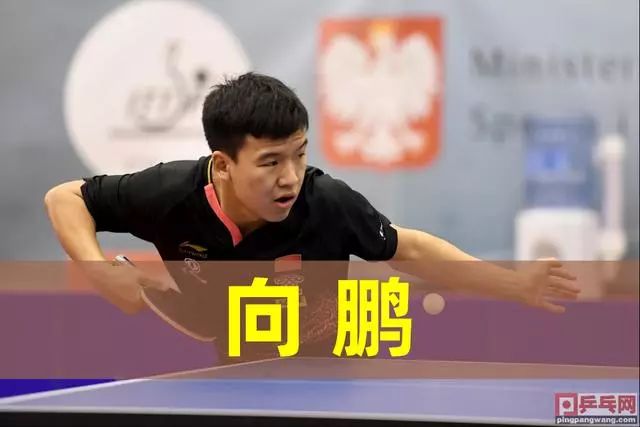 也展现了运 也展现了运